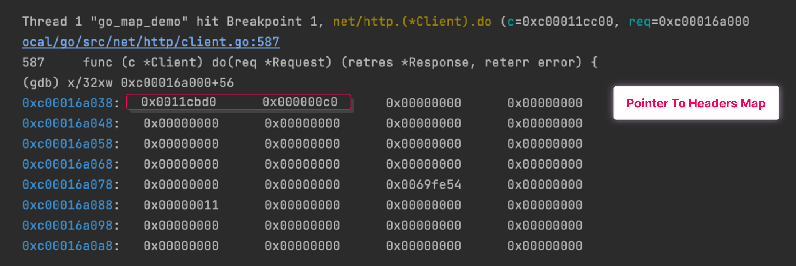 Gophers & Bees parsing Golang structures in memory with eBPF Oxeye